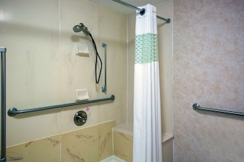 Room, 1 Queen Bed, Accessible (Roll-In Shower)