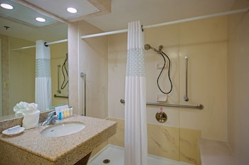 Room, 1 Queen Bed, Accessible (Roll-In Shower)