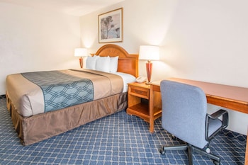 Traditional Room, 1 King Bed, Accessible
