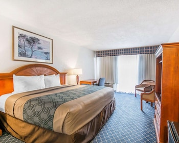 Traditional Room, 1 King Bed, Accessible