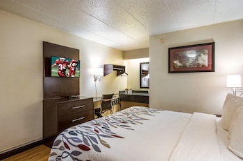 Deluxe Room, 1 King Bed, Accessible, Non Smoking (Roll-In Shower)