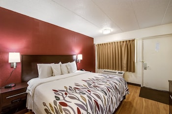 Deluxe Room, 1 King Bed, Accessible, Non Smoking (Roll-In Shower)