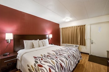 Deluxe Room, 1 King Bed, Accessible, Non Smoking (Roll-In Shower)