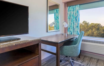 Room, 1 King Bed, Accessible, Bathtub (Mobility & Hearing)
