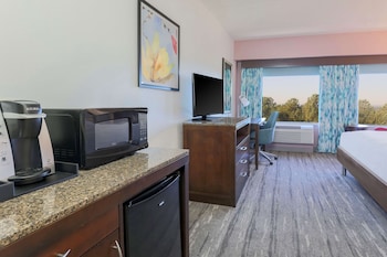 Room, 1 King Bed, Accessible, Bathtub (Mobility & Hearing)