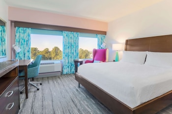 Room, 1 King Bed, Accessible, Bathtub (Mobility & Hearing)