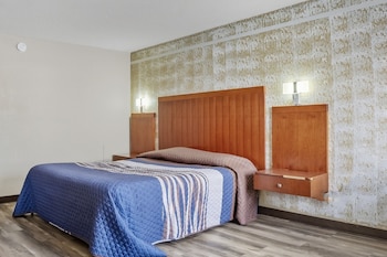 Room, 1 King Bed