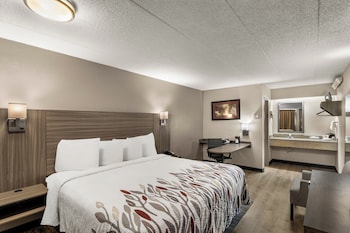 Superior Room, 1 King Bed, Non Smoking