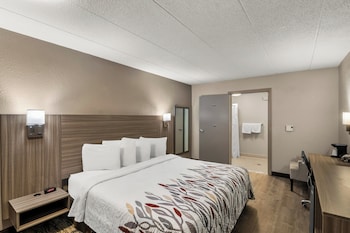 Superior Room, 1 King Bed, Accessible, Non Smoking (Roll-In Shower)
