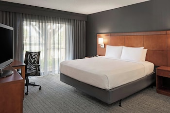 Room, 1 King Bed with Sofa bed