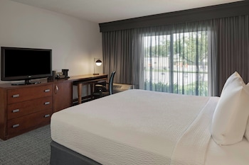 Room, 1 King Bed with Sofa bed