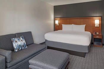 Room, 1 King Bed with Sofa bed