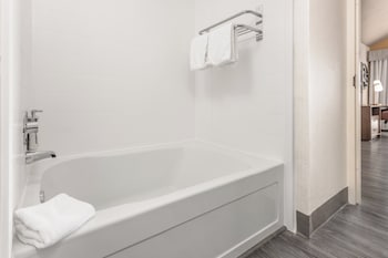 Premium Room, Multiple Beds
