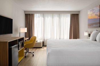 Room, 1 King Bed, Non Smoking