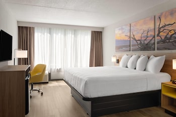 Room, 1 King Bed, Non Smoking
