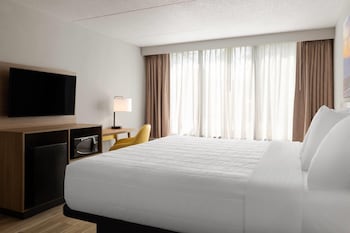 Room, 1 King Bed, Non Smoking
