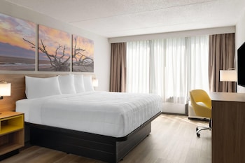 Room, 1 King Bed, Mobility Accessible, Non Smoking (Roll-in Shower)