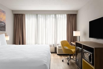 Room, 1 King Bed, Mobility Accessible, Non Smoking (Bathtub W/grab Bars)