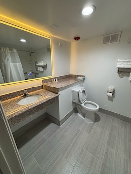 Room, 1 King Bed, Mobility Accessible, Non Smoking (Roll-in Shower)