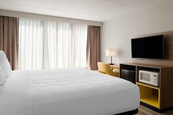 Room, 1 King Bed, Mobility Accessible, Non Smoking (Roll-in Shower)