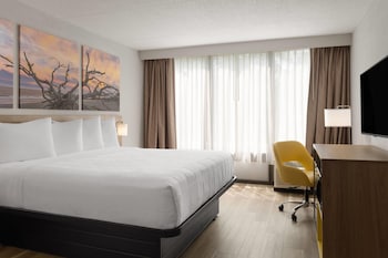 Room, 1 King Bed, Mobility Accessible, Non Smoking (Bathtub W/grab Bars)