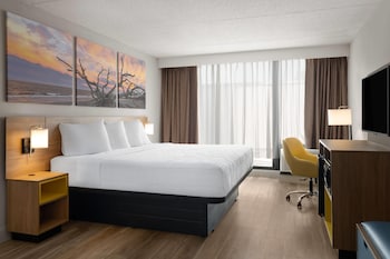 Room, 1 King Bed, Non Smoking