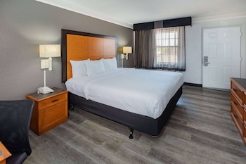 Room, 1 King Bed, Non Smoking, Bathtub (Mobility/Hearing Accessible)