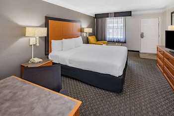 Room, 1 King Bed, Non Smoking