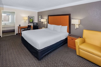 Room, 1 King Bed, Non Smoking