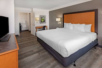 Room, 1 King Bed, Accessible, Non Smoking (Roll-In Shower)