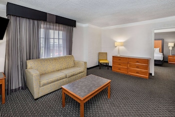 Suite, 1 King Bed, Non Smoking
