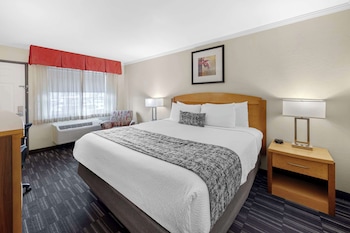 Standard Room, 1 King Bed, Non Smoking, Refrigerator & Microwave