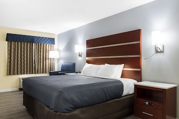 Room, 1 King Bed, Non Smoking