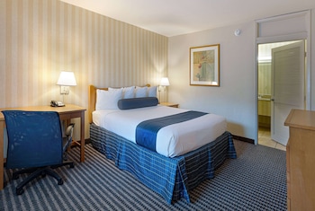 Room, 1 Queen Bed, Non Smoking
