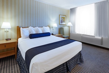 Room, 1 King Bed, Non Smoking
