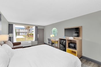 Room, 1 King Bed with Sofa bed, Accessible, Non Smoking (Mobility, Hearing, Roll-In Shower)
