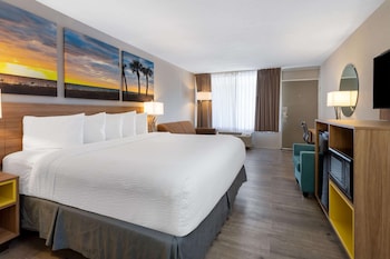 Room, 1 King Bed with Sofa bed, Accessible, Non Smoking (Mobility, Hearing, Roll-In Shower)