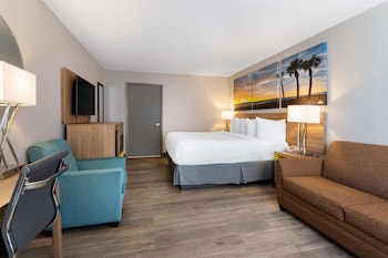 Room, 1 King Bed with Sofa bed, Accessible, Non Smoking (Mobility, Hearing, Roll-In Shower)
