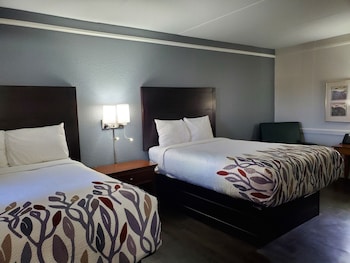 Deluxe Double Room, 2 Queen Beds, Non Smoking, Refrigerator & Microwave