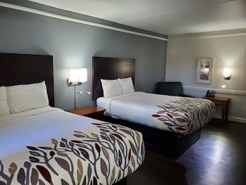 Standard Double Room, Accessible Bathtub, Non Smoking