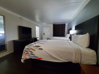Standard Double Room, Accessible Bathtub, Non Smoking