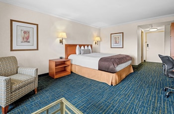 Standard Room, 1 King Bed, Non Smoking, Refrigerator & Microwave (with Sofabed)