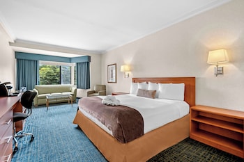 Standard Room, 1 King Bed, Accessible, Bathtub (with Sofabed)