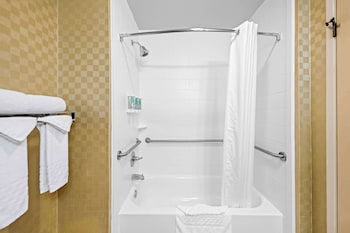 Standard Room, 1 King Bed, Accessible, Bathtub (with Sofabed)