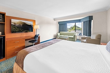 Standard Room, 1 King Bed, Accessible, Bathtub (with Sofabed)