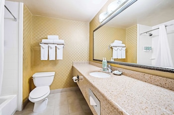 Standard Room, 1 King Bed, Non Smoking, Refrigerator & Microwave (with Sofabed)