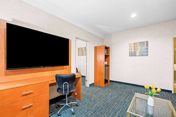 Suite, Multiple Beds, Non Smoking (Living Room;Walk-in Shower)