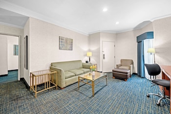 Suite, Multiple Beds, Non Smoking (Living Room;Walk-in Shower)