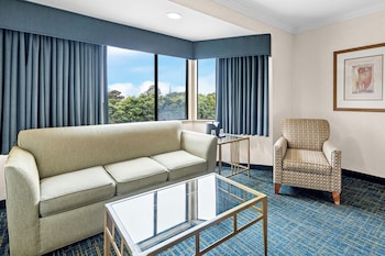 Standard Room, 1 King Bed, Non Smoking, Refrigerator & Microwave (with Sofabed)