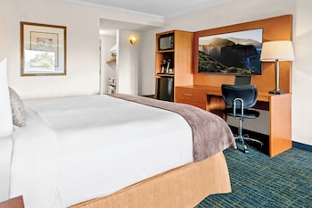 Standard Room, 1 King Bed, Non Smoking, Refrigerator & Microwave (with Sofabed)